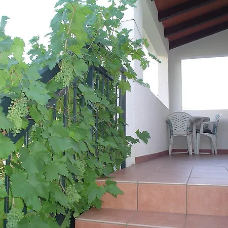 Guest house Jole