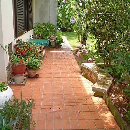 Guest house Jole